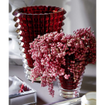 Baccarat - Eye Vase Oval - Small